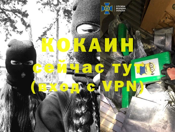 сатива Тайга