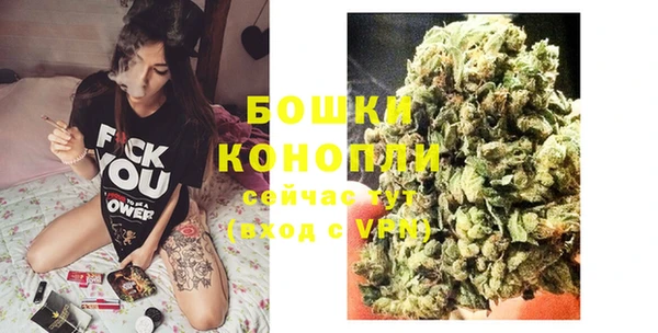 гидра Сясьстрой
