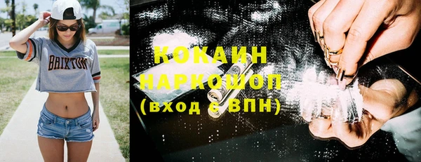 сатива Тайга