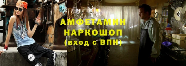сатива Тайга