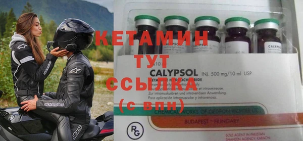 сатива Тайга