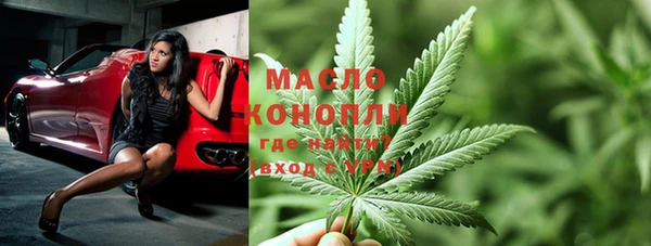 гидра Сясьстрой