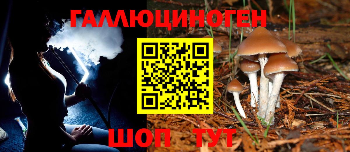 Долгопрудный  Вход с VPN  Меф МЯУ МЯУ   Гашиш  А ПВП СОЛЬ кристаллы  МАРИХУАНА  КОКАИН  MDMA 